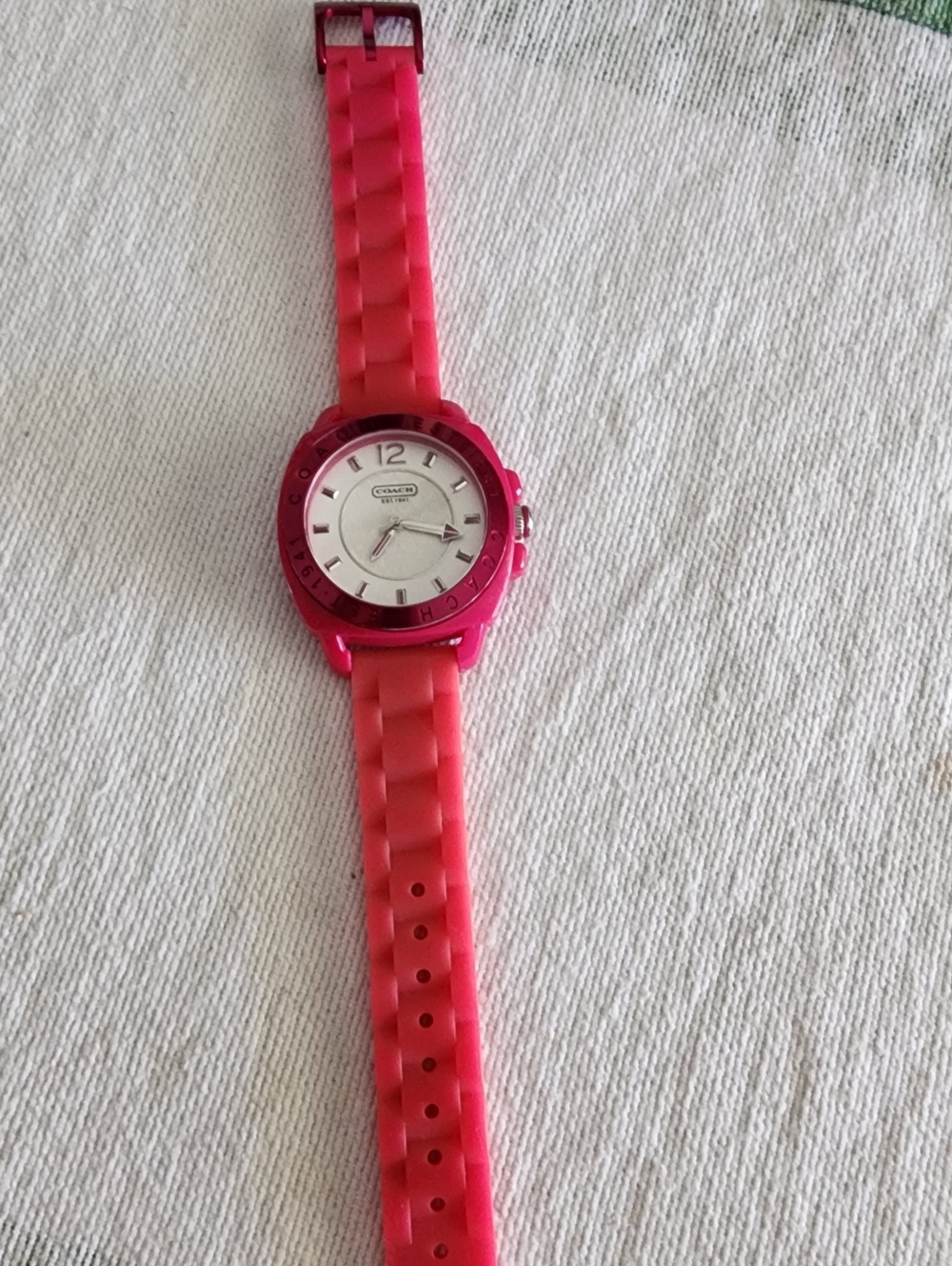 Coach Watch - Picture 2 of 3